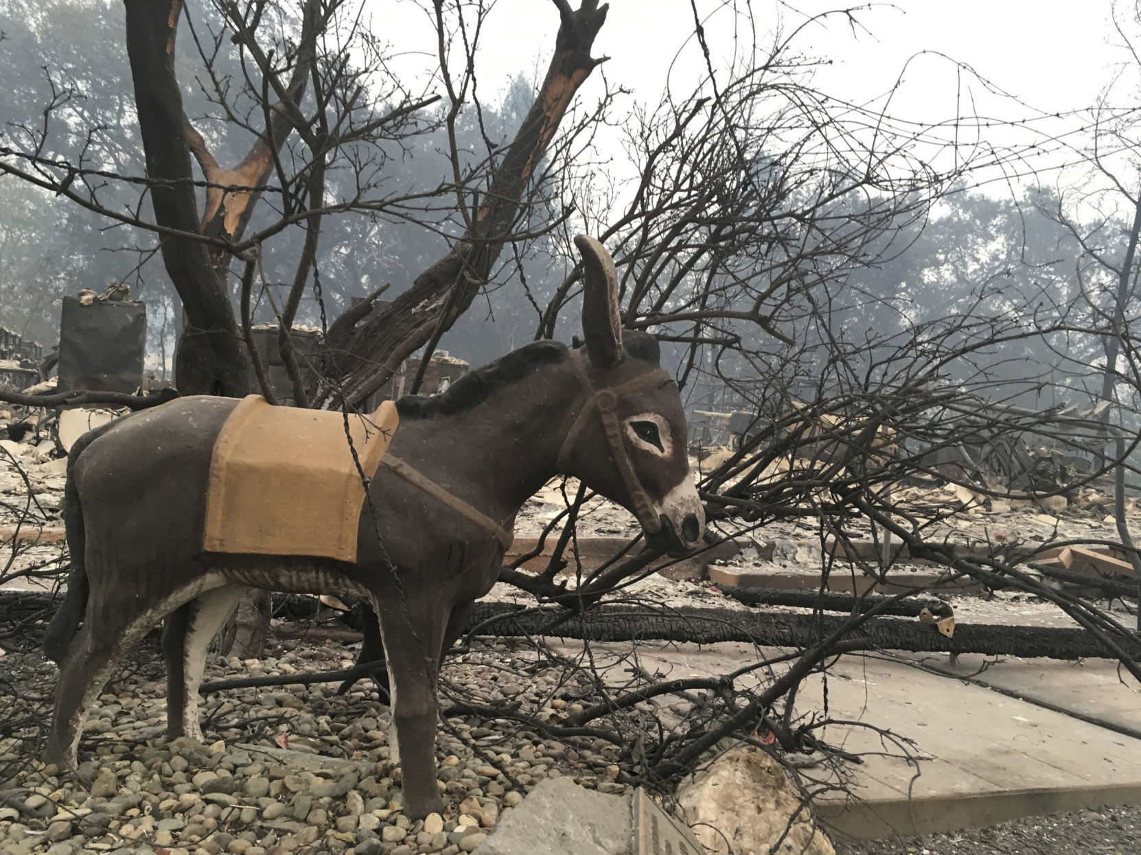 Northern California Wildfire